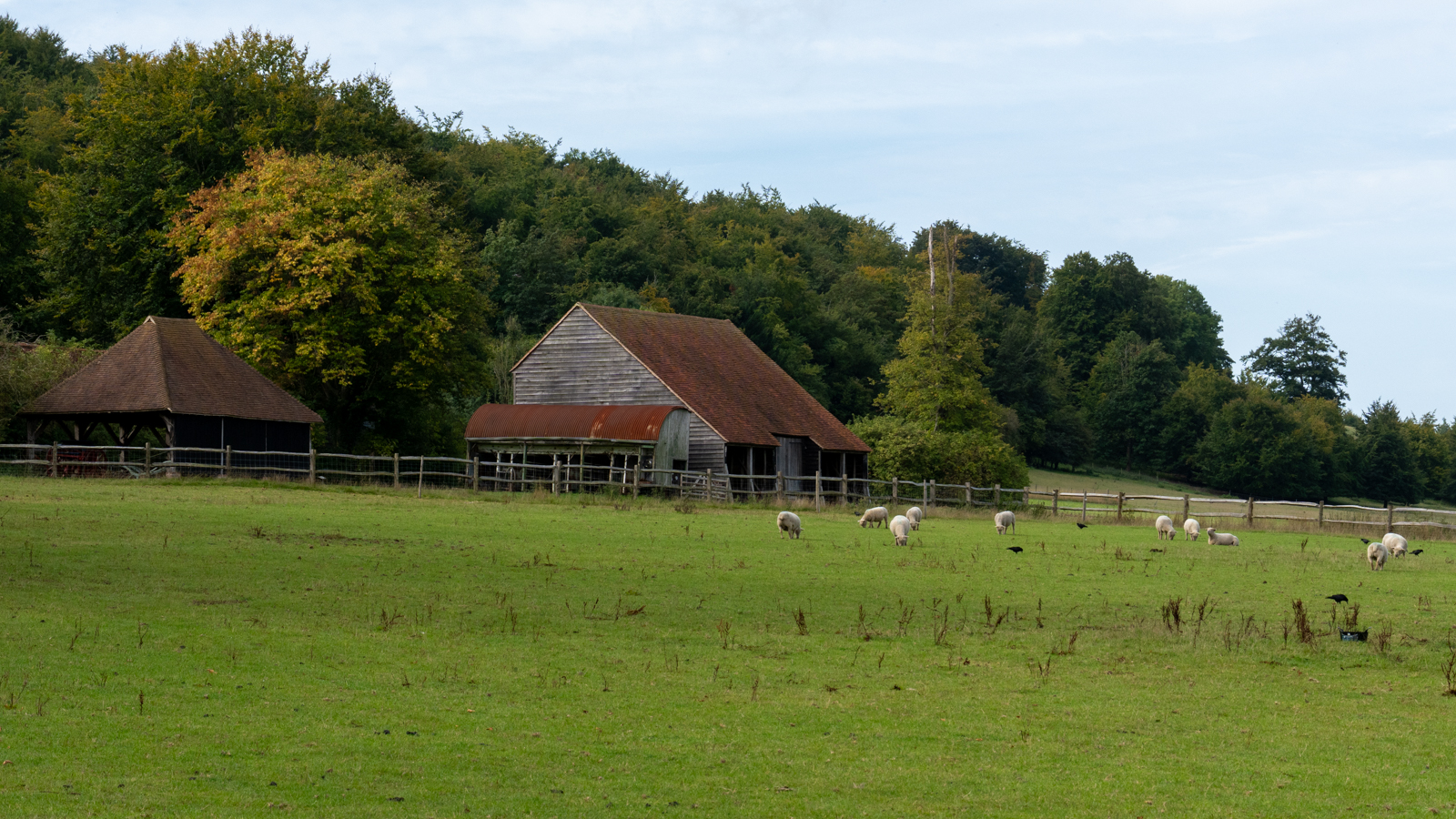 Photography by Chris Allington